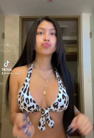 1. Irresistible Desiree Montoya Shows Cleavage in Leopard Bikini