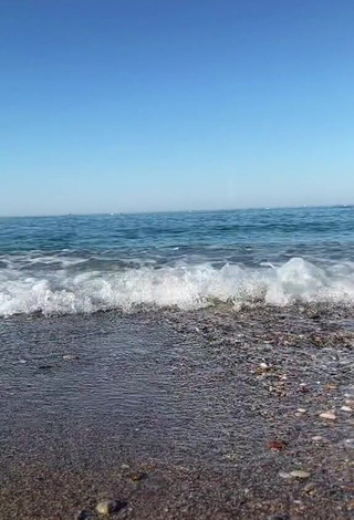 1. Erotic Dina in Crop Top at the Beach