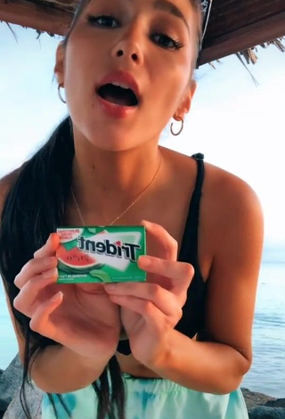Iris (@irisofficialmusic) - Porn Videos from TikTok