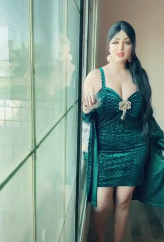 1. Irresistible Salma Elshimy Shows Cleavage in Green Dress