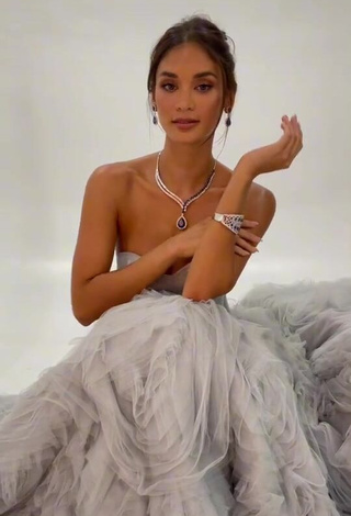 1. Erotic Pia Wurtzbach Shows Cleavage in Grey Dress