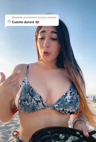 Seductive Ana Daniela Martínez Buenrostro in Snake Print Bikini at the Beach