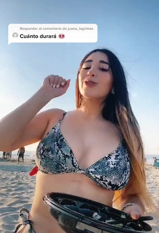 3. Seductive Ana Daniela Martínez Buenrostro in Snake Print Bikini at the Beach