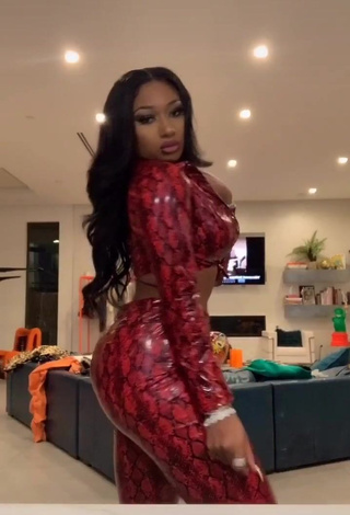 2. Irresistible Megan Thee Stallion Shows Big Butt