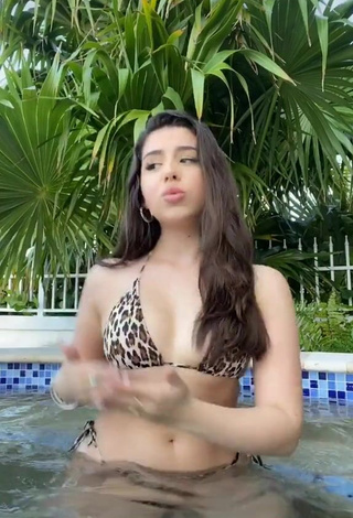 Erotic Amanda Díaz in Leopard Bikini at the Pool